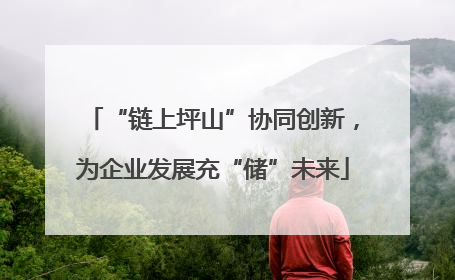 “链上坪山”协同创新，为企业发展充“储”未来