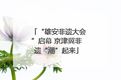“雄安非遗大会”启幕 京津冀非遗“潮”起来