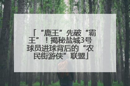“鹿王”先破“霸王”！揭秘盐城3号球员进球背后的“农民街游侠”联盟