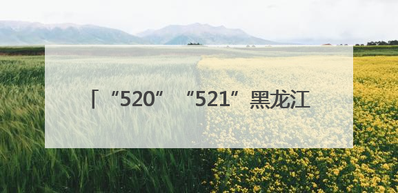 “520”“521”黑龙江省9964对新人喜结连理
