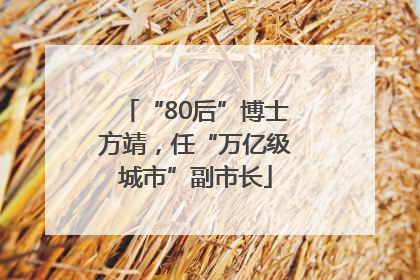 “80后”博士方靖，任“万亿级城市”副市长