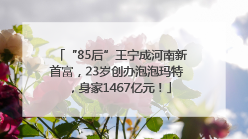 “85后”王宁成河南新首富，23岁创办泡泡玛特，身家1467亿元！