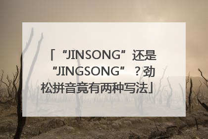 “JINSONG”还是“JINGSONG”？劲松拼音竟有两种写法