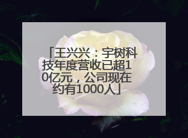 王兴兴：宇树科技年度营收已超10亿元，公司现在约有1000人