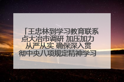 王忠林到学习教育联系点大冶市调研 加压加力 从严从实 确保深入贯彻中央八项规定精神学习教育取得实效