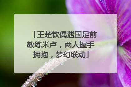 王楚钦偶遇国足前教练米卢，两人握手拥抱，梦幻联动
