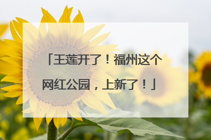 王莲开了！福州这个网红公园，上新了！