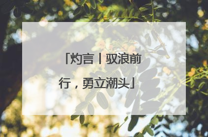 灼言丨驭浪前行，勇立潮头