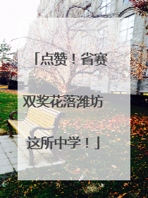 点赞！省赛双奖花落潍坊这所中学！