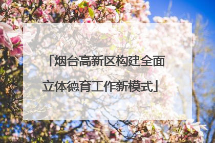 烟台高新区构建全面立体德育工作新模式