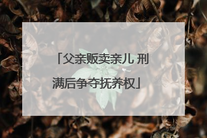 父亲贩卖亲儿 刑满后争夺抚养权