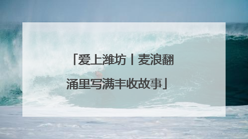 爱上潍坊丨麦浪翻涌里写满丰收故事