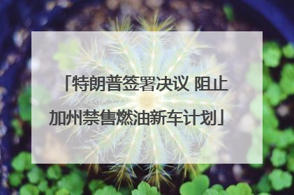 特朗普签署决议 阻止加州禁售燃油新车计划