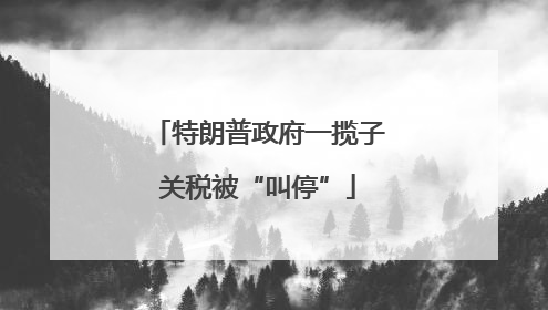 特朗普政府一揽子关税被“叫停”