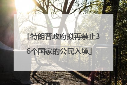 特朗普政府拟再禁止36个国家的公民入境