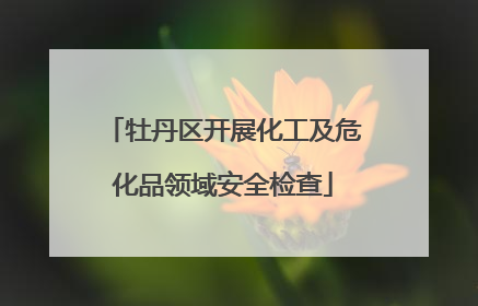 牡丹区开展化工及危化品领域安全检查