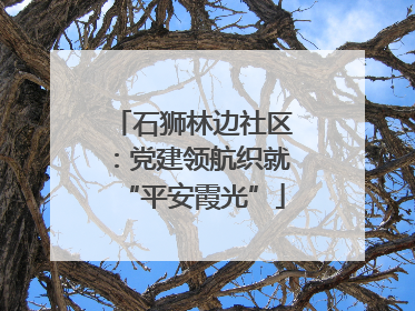 石狮林边社区：党建领航织就“平安霞光”
