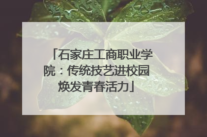 石家庄工商职业学院：传统技艺进校园焕发青春活力