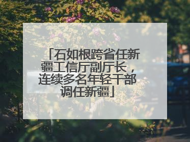 石如根跨省任新疆工信厅副厅长，连续多名年轻干部调任新疆