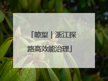 瞭望｜浙江探路高效能治理