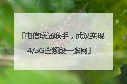 电信联通联手，武汉实现4/5G全频段一张网