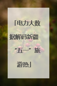 电力大数据解码新疆“五一”旅游热