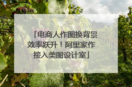 电商人作图换背景效率跃升！阿里家作接入美图设计室
