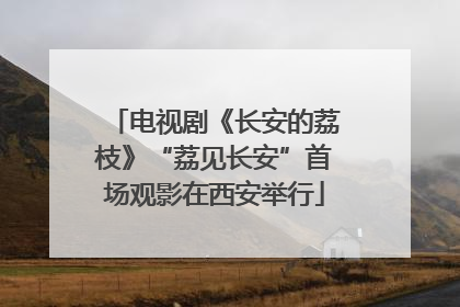 电视剧《长安的荔枝》“荔见长安”首场观影在西安举行
