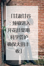 甘肃甘谷：辣椒进入开花挂果期 科学管护确保大田丰收