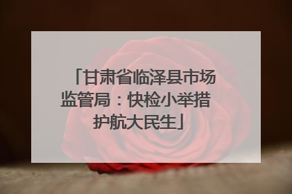 甘肃省临泽县市场监管局：快检小举措 护航大民生