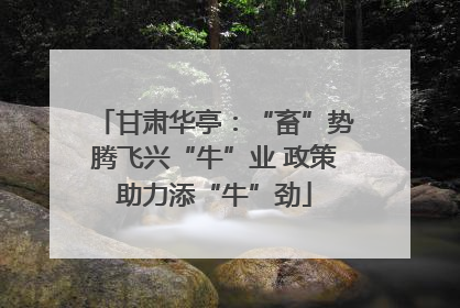 甘肃华亭：“畜”势腾飞兴“牛”业 政策助力添“牛”劲