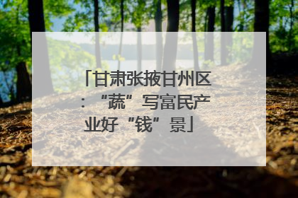 甘肃张掖甘州区：“蔬”写富民产业好“钱”景