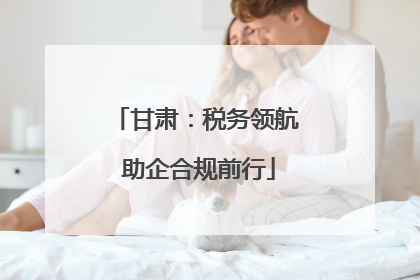 甘肃：税务领航 助企合规前行