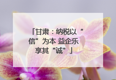 甘肃：纳税以“信”为本 益企乐享其“诚”