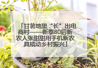 甘薯地里“长”出电商村——新泰80后新农人张甜甜用手机新农具撬动乡村振兴
