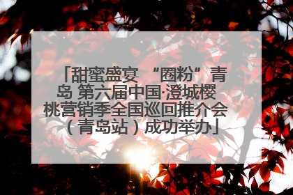 甜蜜盛宴 “圈粉”青岛 第六届中国·澄城樱桃营销季全国巡回推介会（青岛站）成功举办