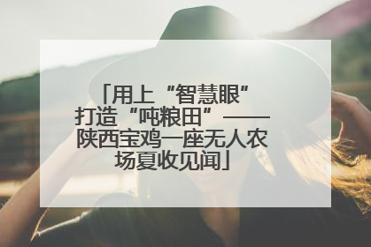 用上“智慧眼” 打造“吨粮田”——陕西宝鸡一座无人农场夏收见闻