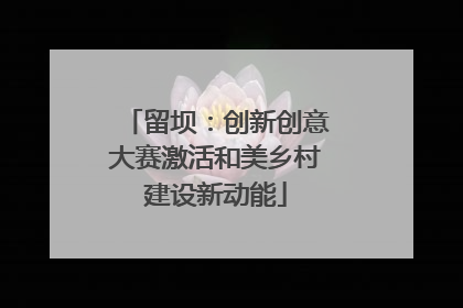 留坝：创新创意大赛激活和美乡村建设新动能