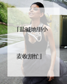 盐碱地里小麦收割忙