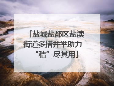 盐城盐都区盐渎街道多措并举助力“秸”尽其用