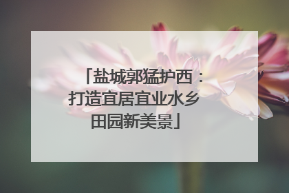 盐城郭猛护西：打造宜居宜业水乡田园新美景