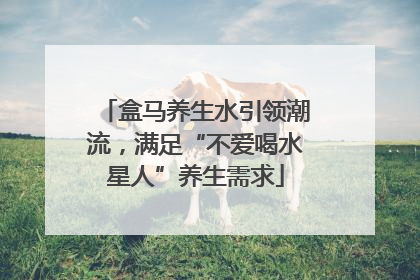 盒马养生水引领潮流，满足“不爱喝水星人”养生需求