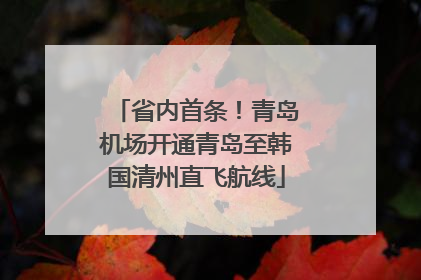 省内首条！青岛机场开通青岛至韩国清州直飞航线