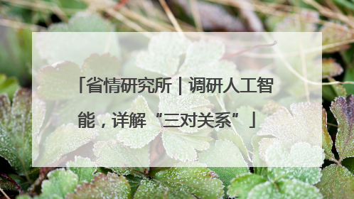省情研究所｜调研人工智能，详解“三对关系”