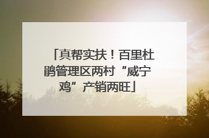 真帮实扶！百里杜鹃管理区两村“威宁鸡”产销两旺