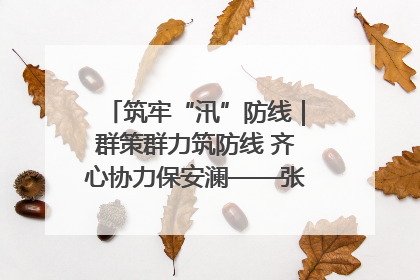 筑牢“汛”防线｜群策群力筑防线 齐心协力保安澜——张家界高新区上下众志成城迎战汛情