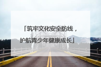 筑牢文化安全防线，护航青少年健康成长