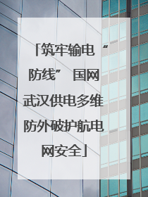 筑牢输电“防线” 国网武汉供电多维防外破护航电网安全