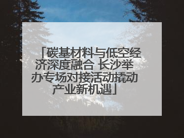 碳基材料与低空经济深度融合 长沙举办专场对接活动撬动产业新机遇