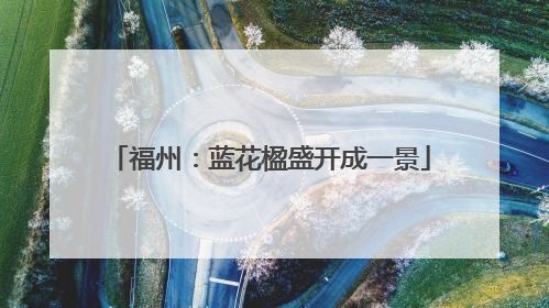 福州：蓝花楹盛开成一景
